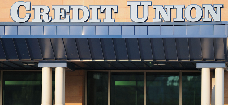 Different Types of Credit Unions