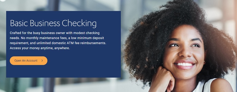 Axos Bank Basic Business Checking